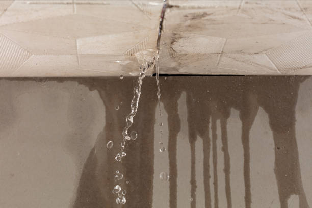 Professional Commercial Water Damage Restoration technician working in Elm Mott, TX